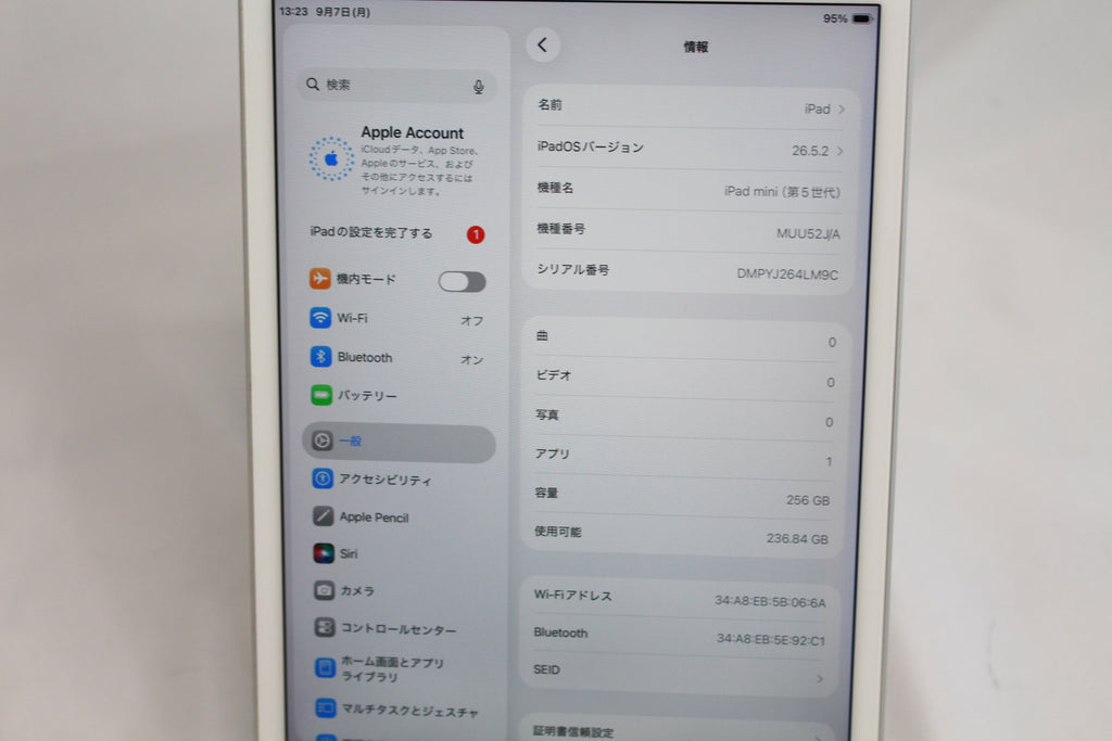 Apple iPadmini5 256GB MUU52J/A