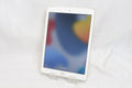 Apple iPad（第5世代/2017） 128GB MPG52J/A